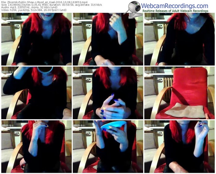 zbiornik-rood_en_kaal-webcam-show-10_08_2016-16_36_53