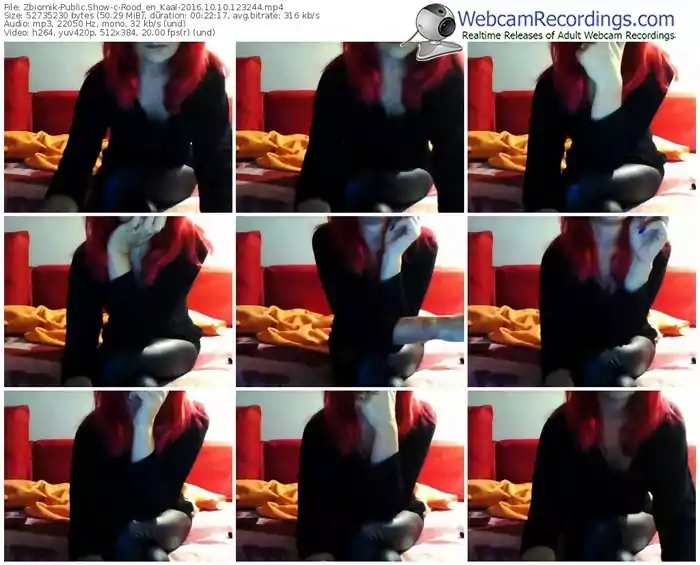 zbiornik-rood_en_kaal-webcam-show-10_10_2016-12_32_44