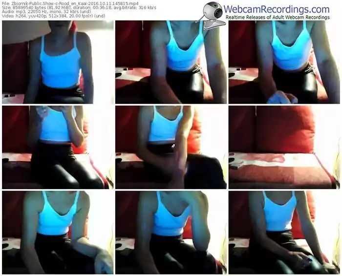 zbiornik-rood_en_kaal-webcam-show-10_11_2016-14_58_15