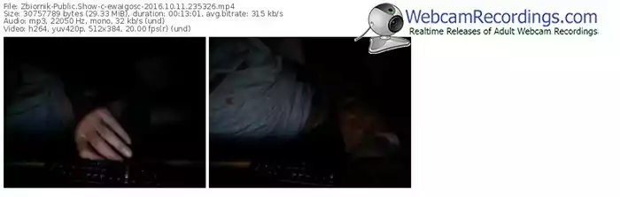 zbiornik-ewaigosc-webcam-show-10_11_2016-23_53_26