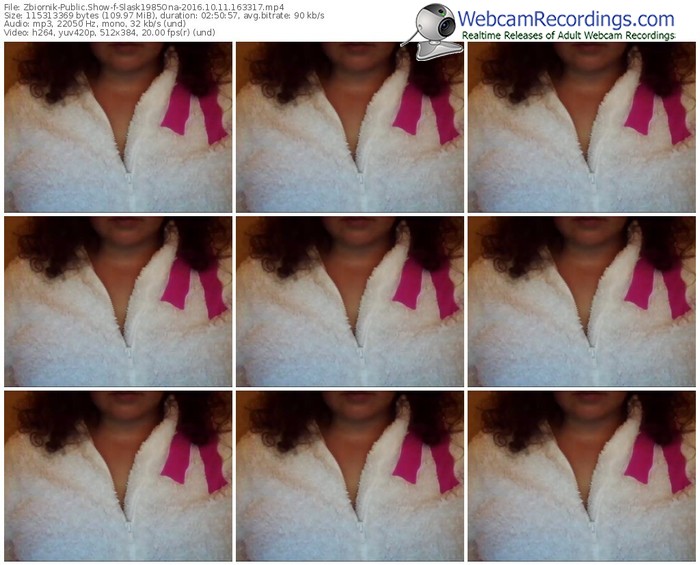 zbiornik-slask1985ona-webcam-show-10_11_2016-16_33_17