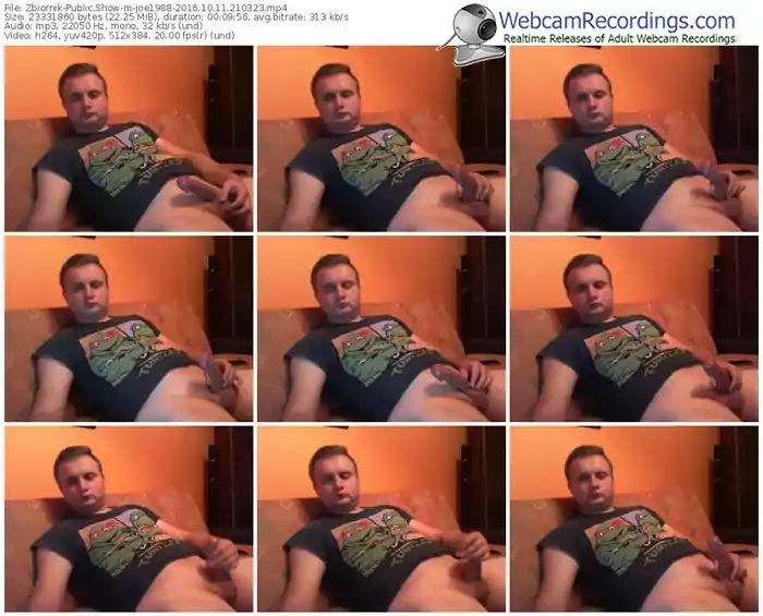 zbiornik-joe1988-webcam-show-10_11_2016-21_03_23