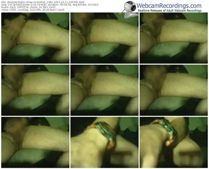 zbiornik-krolluk_1981-webcam-show-10_11_2016-03_03_01