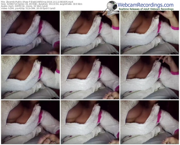 zbiornik-slask1985ona-webcam-show-10_12_2016-08_18_35