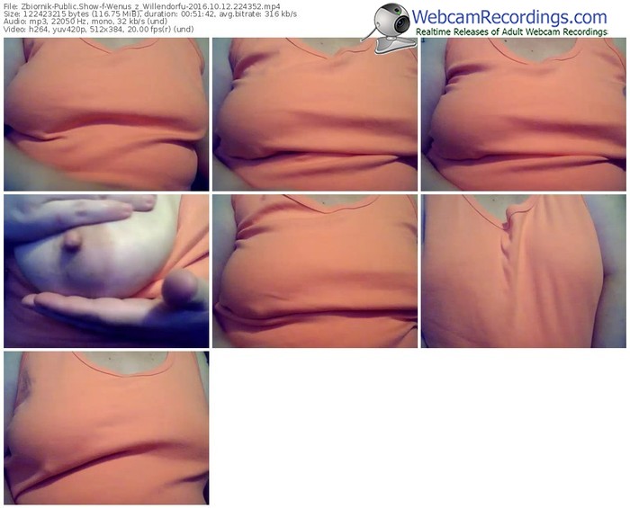 zbiornik-wenus_z_willendorfu-webcam-show-10_12_2016-22_43_52