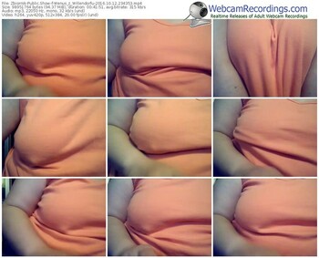 zbiornik-wenus_z_willendorfu-webcam-show-10_12_2016-23_43_53