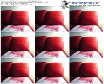 zbiornik-rood_en_kaal-webcam-show-10_13_2016-13_04_09