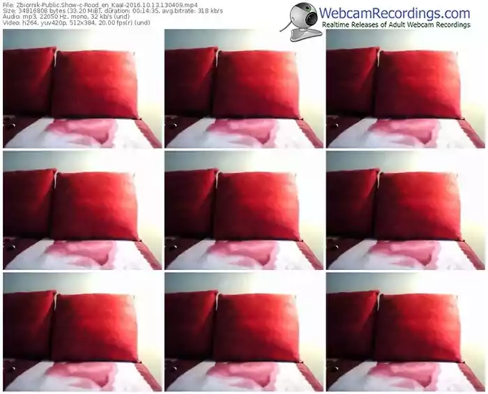 zbiornik-rood_en_kaal-webcam-show-10_13_2016-13_04_09