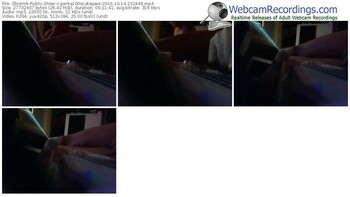zbiornik-parka100szukapani-webcam-show-10_14_2016-23_24_49