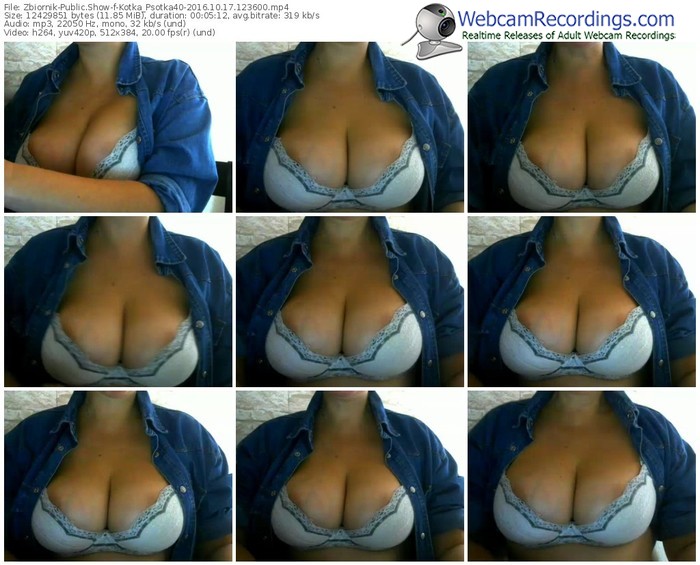 zbiornik-kotka_psotka40-webcam-show-10_17_2016-12_36_00