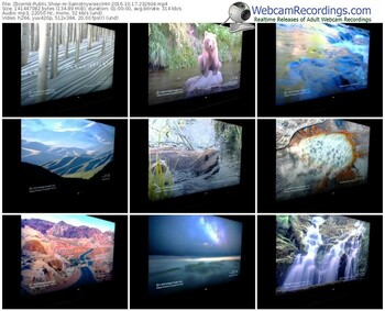 zbiornik-samotnywsiecihh-webcam-show-10_17_2016-23_26_04