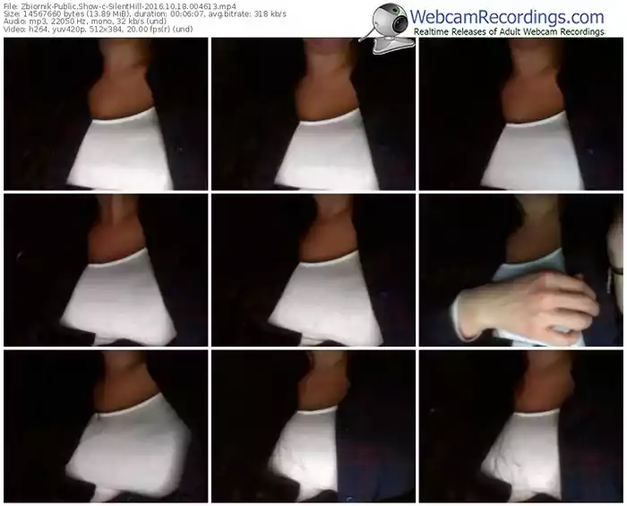 zbiornik-silenthill-webcam-show-10_18_2016-00_46_13