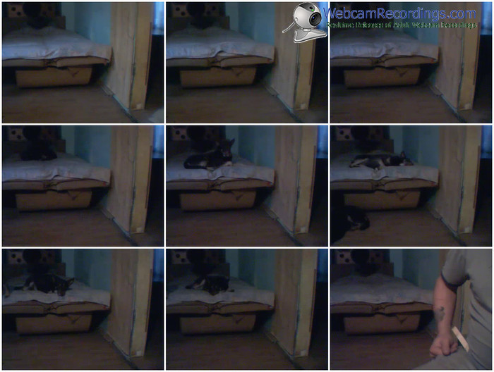 zbiornik-para3122-webcam-show-10_19_2016-15_41_56