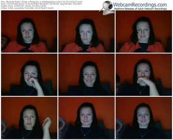 zbiornik-pingwiny_z_madagaskaru-webcam-show-10_20_2016-16_22_27