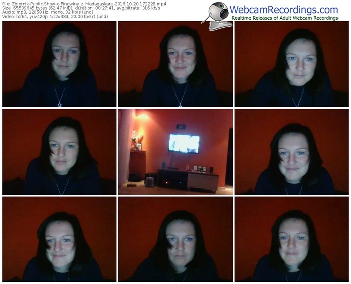 zbiornik-pingwiny_z_madagaskaru-webcam-show-10_20_2016-17_22_28