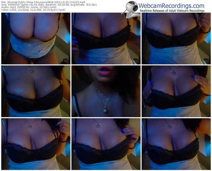 zbiornik-brunecia2828-webcam-show-10_20_2016-13_22_23