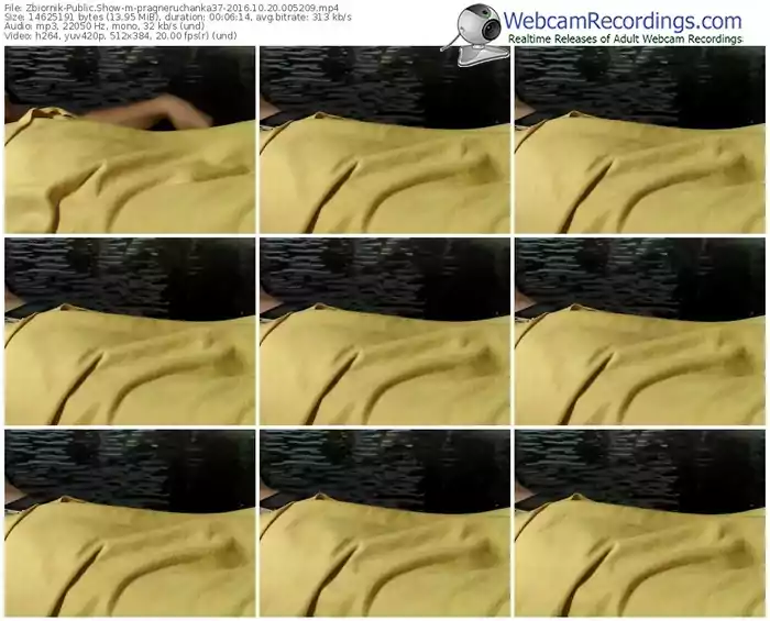 zbiornik-pragneruchanka37-webcam-show-10_20_2016-00_52_09