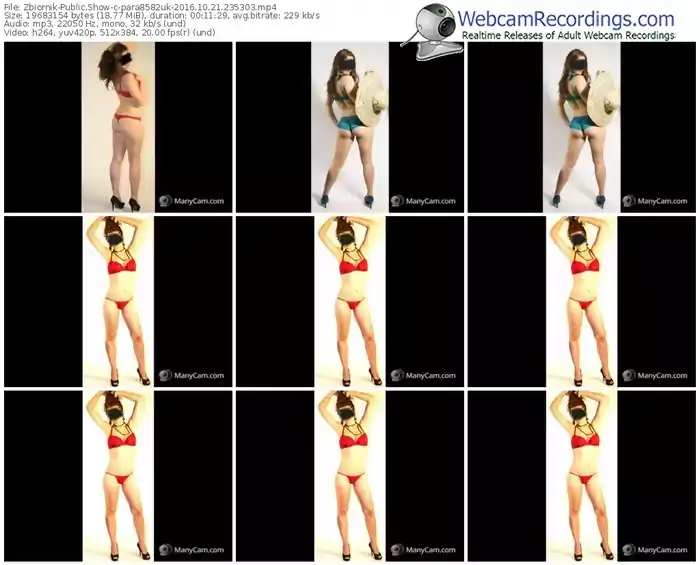 zbiornik-para8582uk-webcam-show-10_21_2016-23_53_03