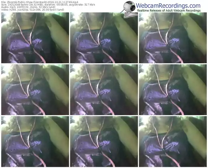 zbiornik-versteckt-webcam-show-10_21_2016-11_27_49