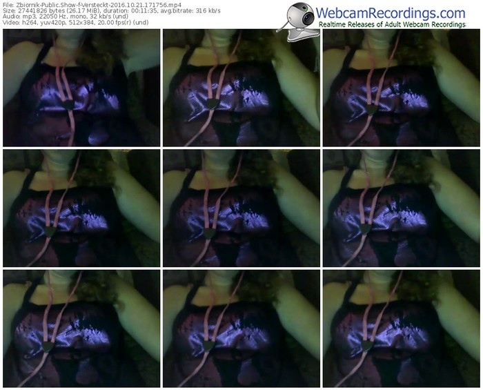 zbiornik-versteckt-webcam-show-10_21_2016-17_17_56