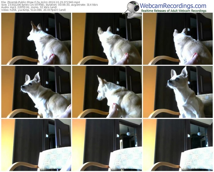 zbiornik-za_milcz-webcam-show-10_23_2016-07_23_40