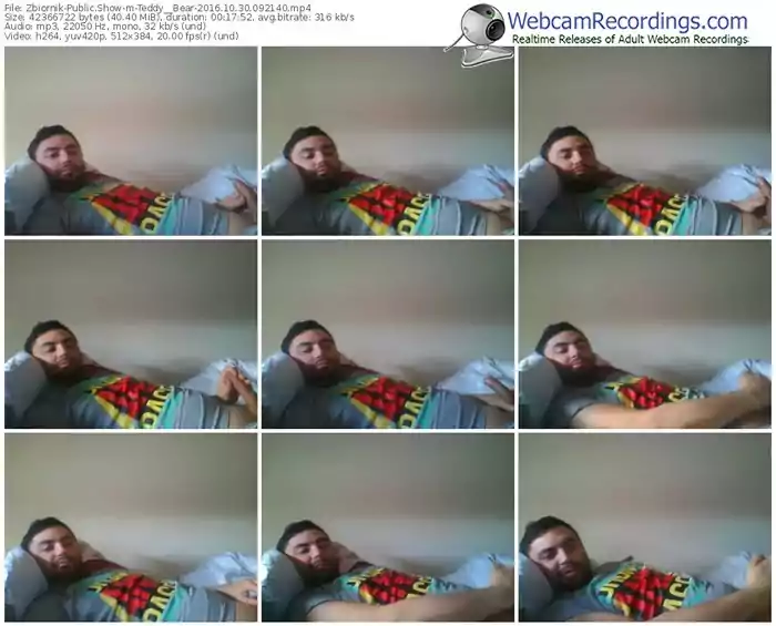 zbiornik-teddy__bear-webcam-show-10_30_2016-09_21_40