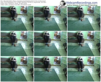 zbiornik-lesneszyszeczkiparka-webcam-show-10_31_2016-11_32_12