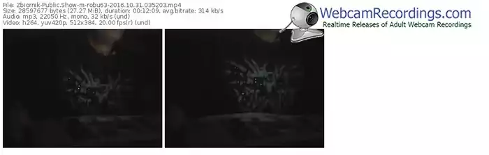 zbiornik-robu63-webcam-show-10_31_2016-03_52_03