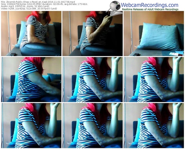 zbiornik-rood_en_kaal-webcam-show-11_01_2016-09_17_38