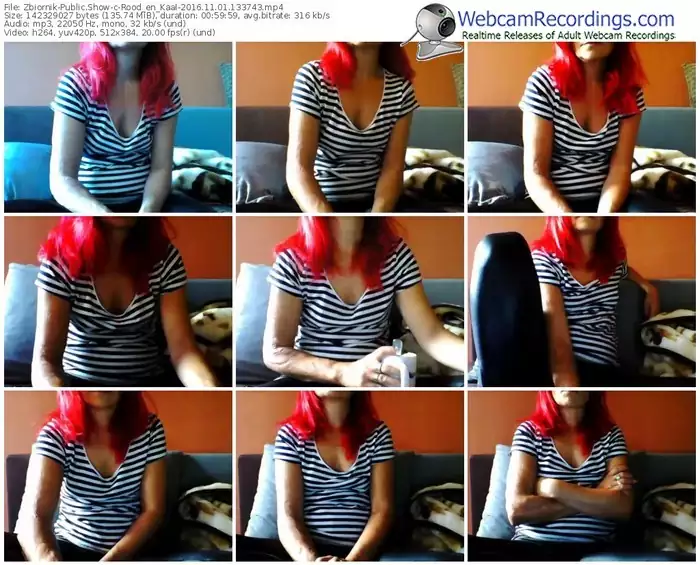 zbiornik-rood_en_kaal-webcam-show-11_01_2016-13_37_43