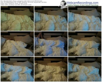 zbiornik-aniagrzes_lodz-webcam-show-11_01_2016-00_57_25