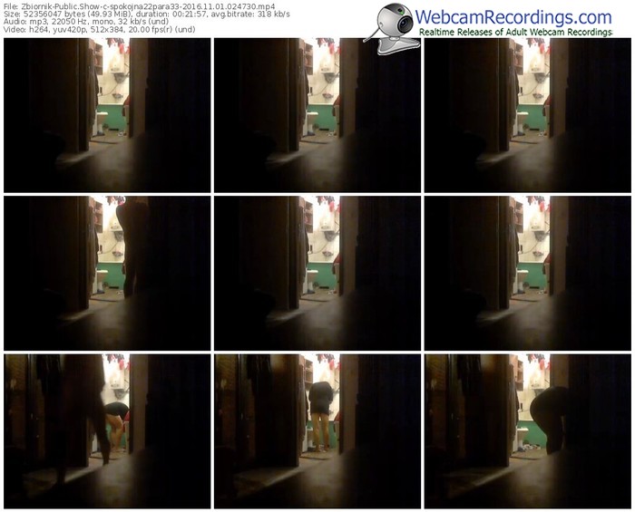 zbiornik-spokojna22para33-webcam-show-11_01_2016-02_47_30