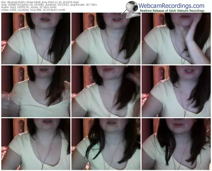 zbiornik-bell_ana-webcam-show-11_01_2016-21_42_53
