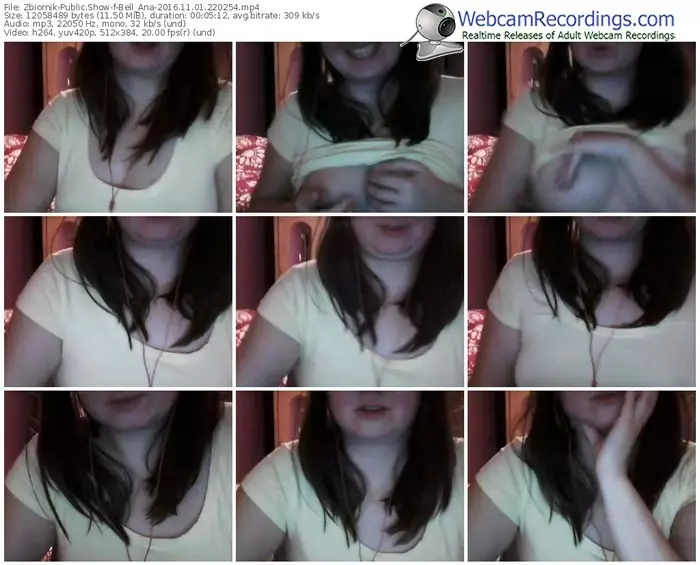zbiornik-bell_ana-webcam-show-11_01_2016-22_02_54