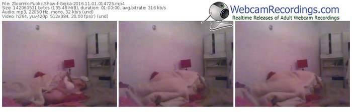 zbiornik-gejka-webcam-show-11_01_2016-01_47_25