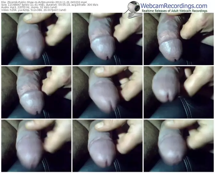 zbiornik-avemuminki-webcam-show-11_01_2016-04_32_32