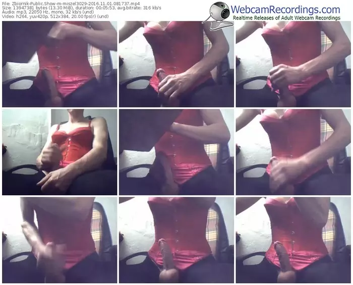 zbiornik-miszel3029-webcam-show-11_01_2016-08_17_37