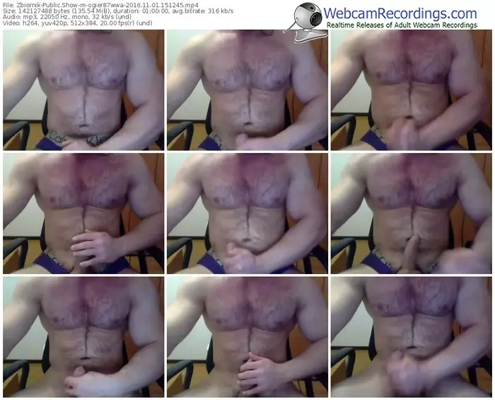 zbiornik-ogier87wwa-webcam-show-11_01_2016-15_12_45