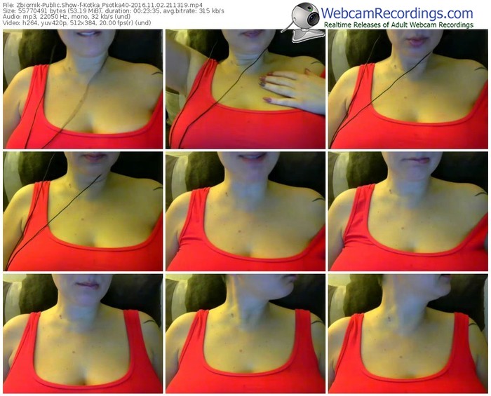 zbiornik-kotka_psotka40-webcam-show-11_02_2016-21_13_19