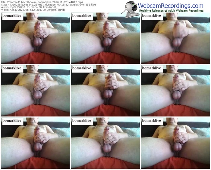 zbiornik-bomarklive-webcam-show-11_02_2016-14_48_12