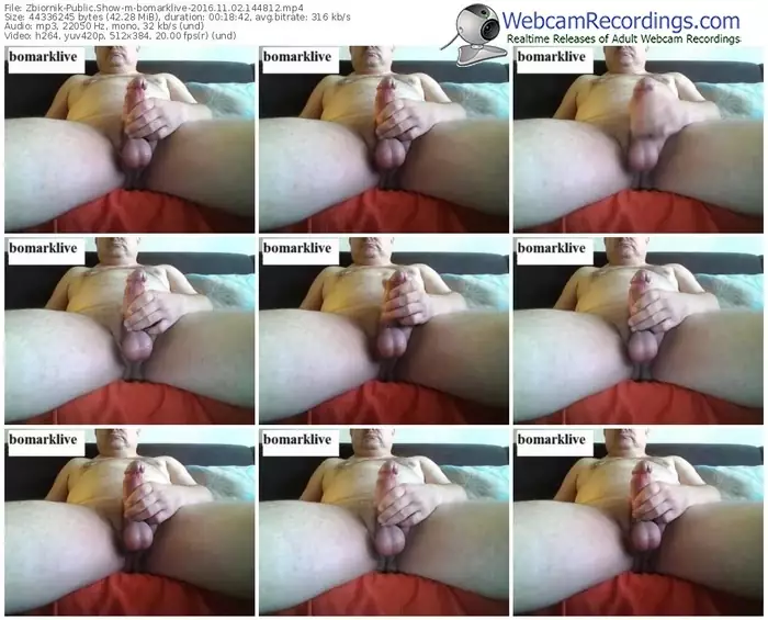 zbiornik-bomarklive-webcam-show-11_02_2016-14_48_12