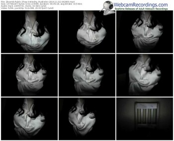 zbiornik-wredny_rudzielec-webcam-show-11_02_2016-04_28_00