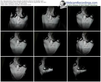 zbiornik-wredny_rudzielec-webcam-show-11_02_2016-05_28_01
