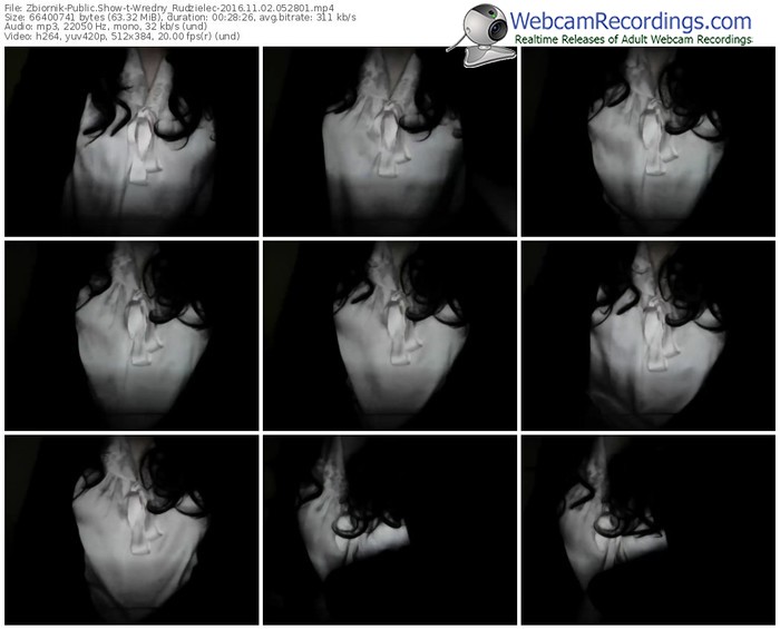 zbiornik-wredny_rudzielec-webcam-show-11_02_2016-05_28_01