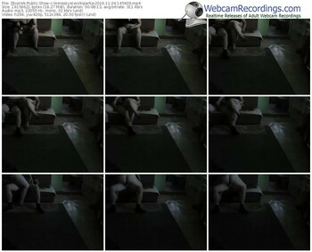 zbiornik-lesneszyszeczkiparka-webcam-show-11_04_2016-14_54_09