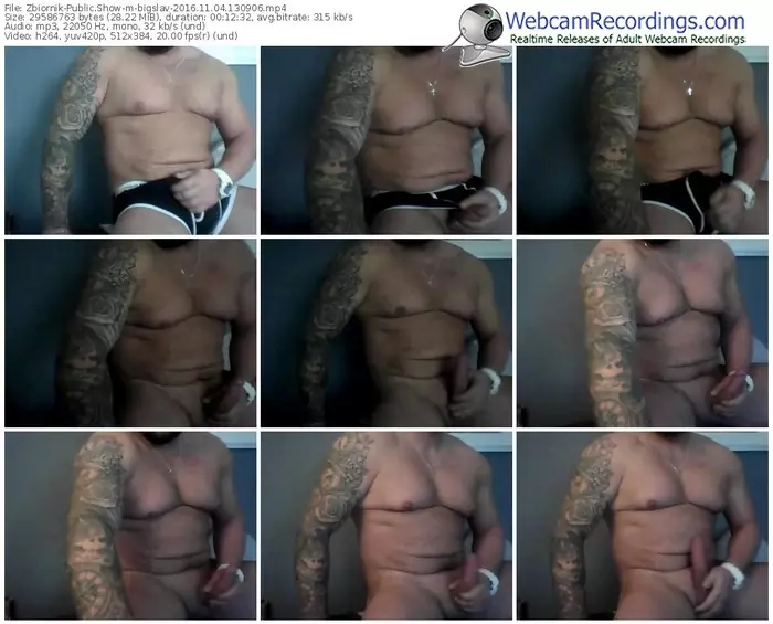 zbiornik-bigslav-webcam-show-11_04_2016-13_09_06