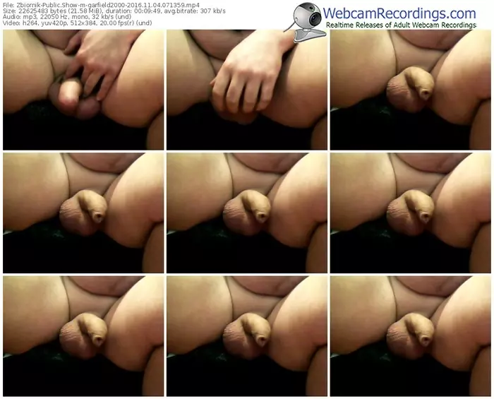 zbiornik-garfield2000-webcam-show-11_04_2016-07_13_59