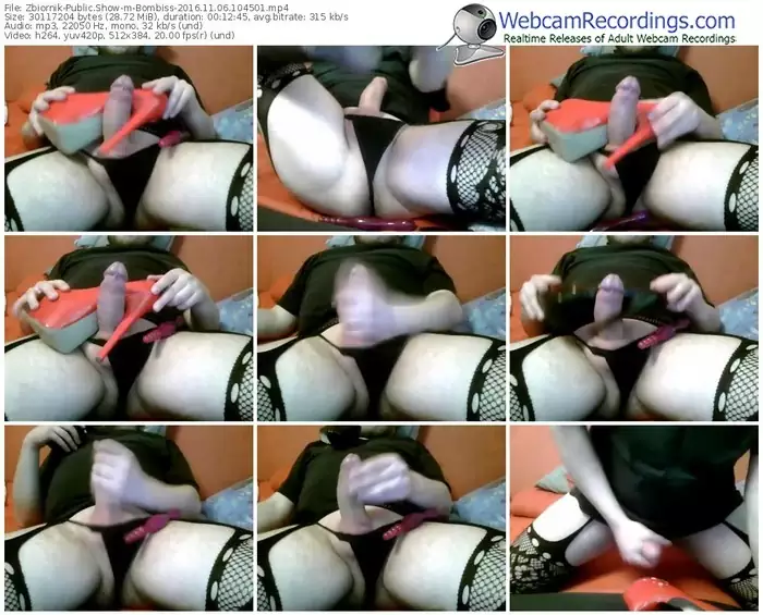 zbiornik-bombiss-webcam-show-11_06_2016-10_45_01