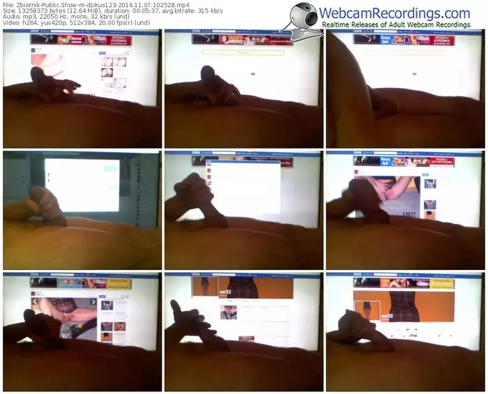 zbiornik-dzikus123-webcam-show-11_07_2016-10_25_28