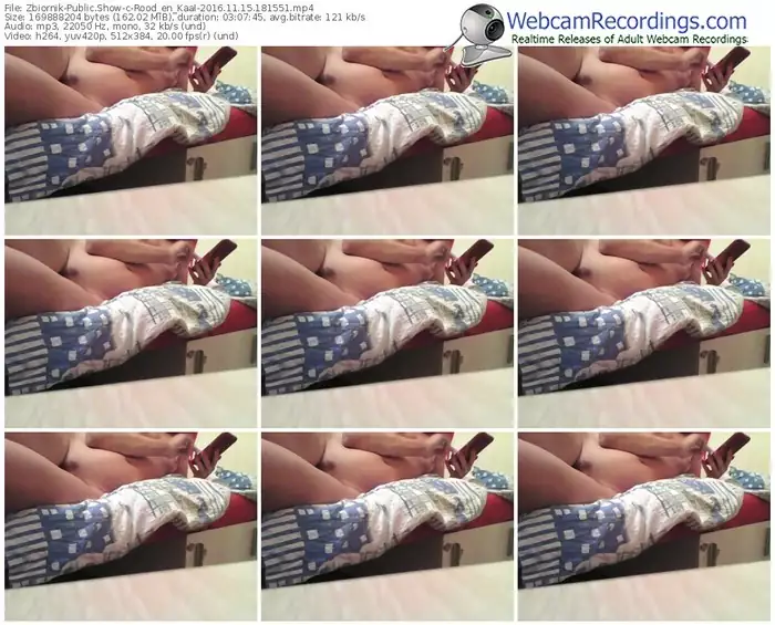 zbiornik-rood_en_kaal-webcam-show-11_15_2016-18_15_51